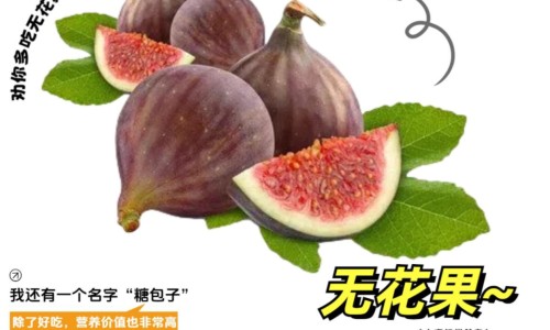 薏米煮水喝-喝薏米水会变瘦吗-喝薏米水有什么反应,中国喝薏米水需要注意什么区别网站