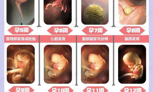 喝薏米水会变瘦吗-喝薏米水有什么反应,中国喝薏米水需要注意什么区别网站